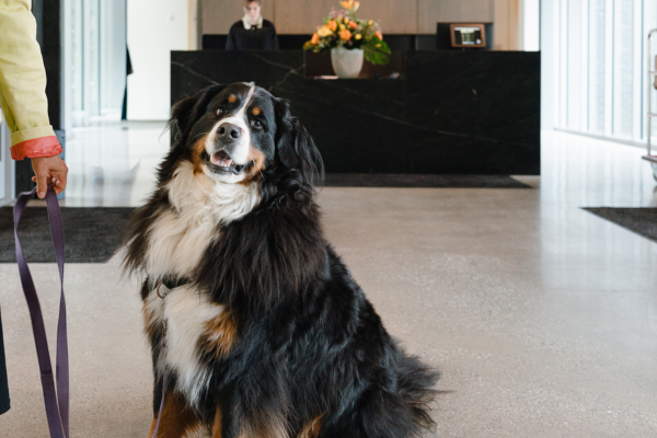 Pet friendly at the heartwood